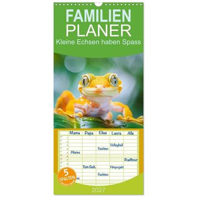 Familienplaner 2027 - Kleine Echsen haben Spass mit 5 Spalten (Wandkalender, 21 x 45 cm) CALVENDO