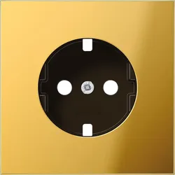 Jung Platte GO 1520 PL