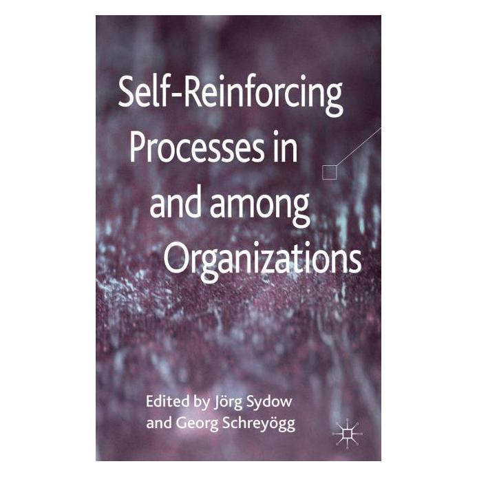 Palgrave Macmillan Uk Self-Reinforcing Processes in and among (Englisch, Hardcover) (63039111)
