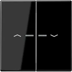 Jung Wippe Symbole/Lichtl.sw LS 995 KO5P SW