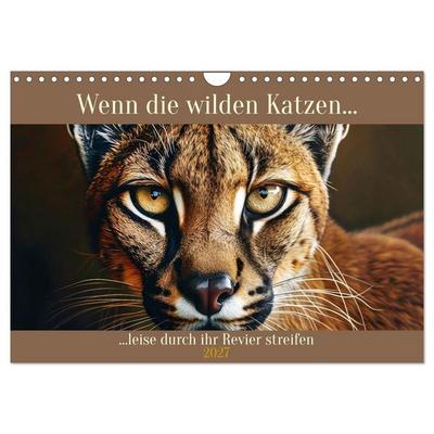 Wenn die wilden Katzen leise durch ihr Revier streifen (Wandkalender 2027 DIN A4 quer), CALVENDO Monatskalender