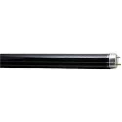 Scharnberger+Hasenbein Leuchtstofflampe T8 68028
