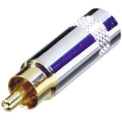 Rean AV NYS352G Cinch-Steckverbinder Stecker 1 St.