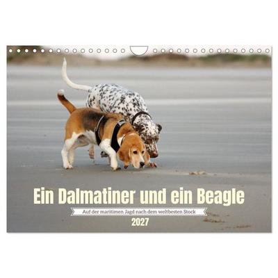 Ein Dalmatiner und ein Beagle - Auf der maritimen Jagd nach dem weltbesten Stock (Wandkalender 2027 DIN A4 quer), CALVENDO Monatskalender