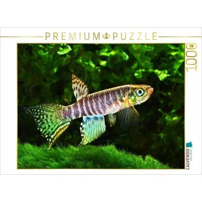 CALVENDO Puzzle Moema peruensis PERU | 1000 Teile Lege-Größe 64x48cm Foto-Puzzle für glückliche Stunden