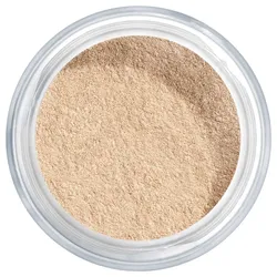 8g ARTDECO Translucent Loose Powder