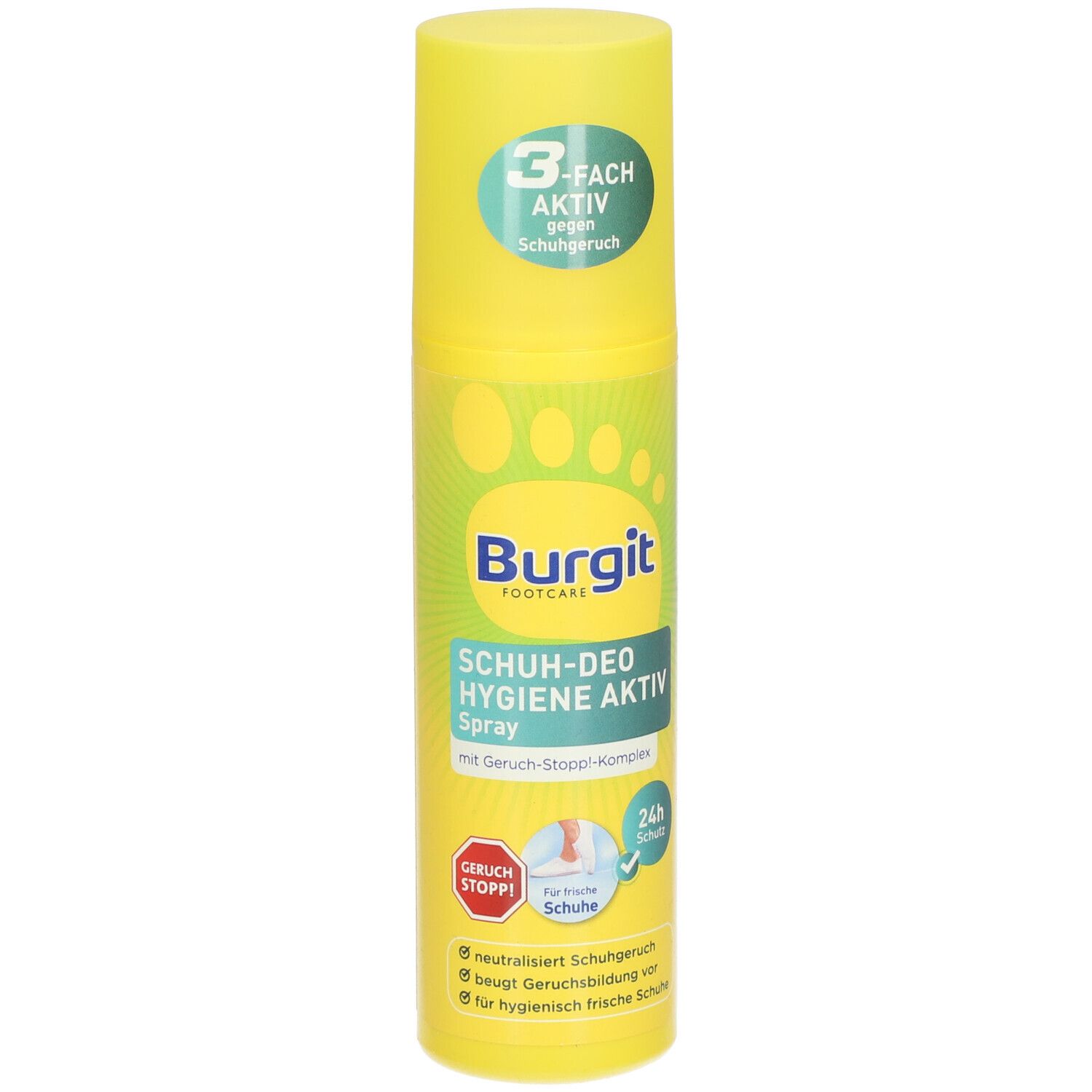 Burgit Schuh-Deo-Spray HYG 175 ml Deospray