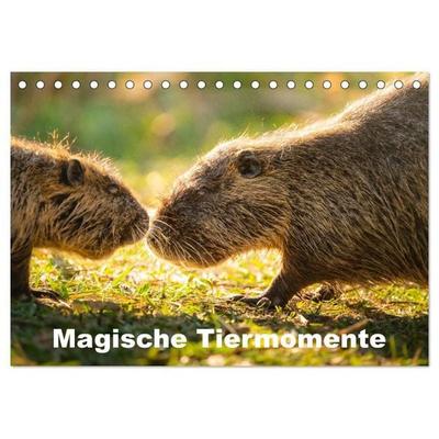 Magische Tiermomente (Tischkalender 2027 DIN A5 quer), CALVENDO Monatskalender