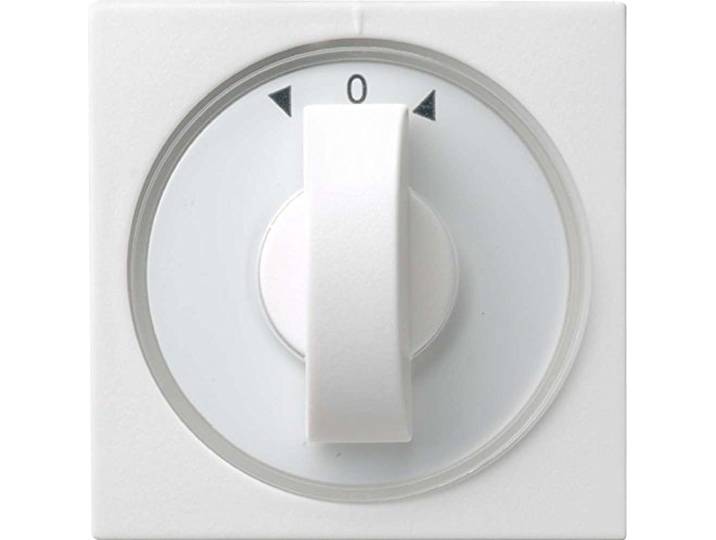 Gira Afdekking 066627 knevel tijd+jaloezie System55 rwm, zuiver wit