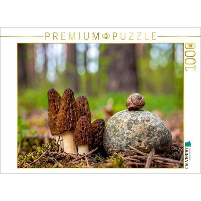 CALVENDO Puzzle Pilzbesuch - Morcheln und Schnecke | 1000 Teile Lege-Größe 64x48cm Foto-Puzzle für glückliche Stunden