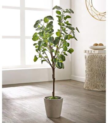 "SAFAVIEH Polyscias Fruticosa 37-Inch Faux Plant - 16.9"" W x 13"" L x 49"" H"