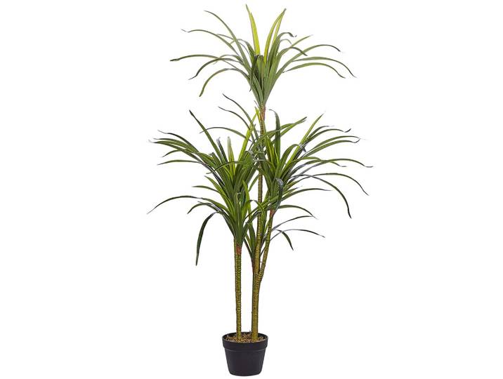 KUNSTPFLANZE im Blumentopf 147 cm Grün/Schwarz Dracaena Anita