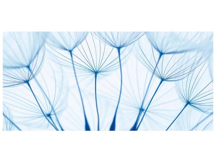Digitaldruck auf Acrylglas Pusteblumen in Blau image LAND / Grösse: 140 x 66 cm