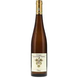 Kastanienbusch Riesling GG Ökonomierat Rebholz MAGNUM 2021 BIO