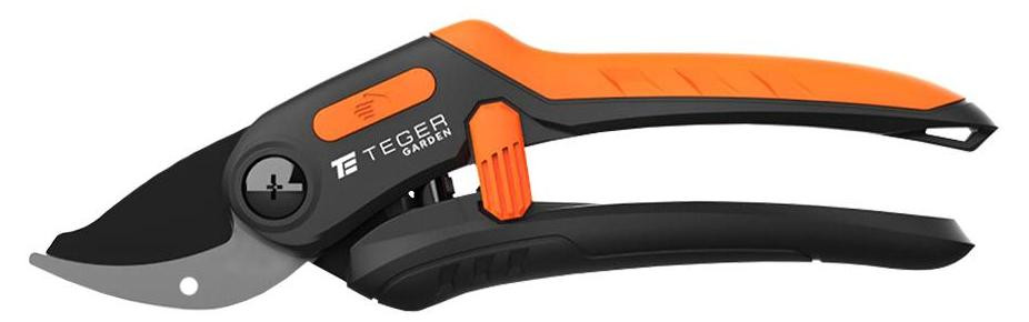 Teger Snoeischaar