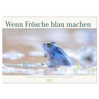 Wenn Frösche blau machen - das geheime Leben der Moorfrösche von Tanja Riedel (Wandkalender 2027 DIN A2 quer), CALVENDO Monatskalender