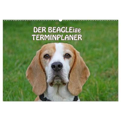 DER BEAGLEige TERMINPLANER (Wandkalender 2027 DIN A2 quer), CALVENDO Monatskalender