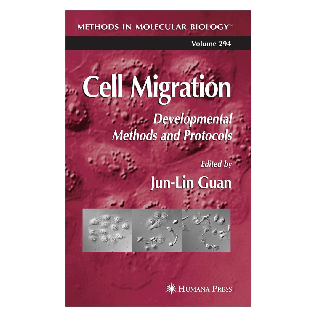 Springer Cell Migration (Englisch, Softcover, Jun-Lin Guan) (55381171)
