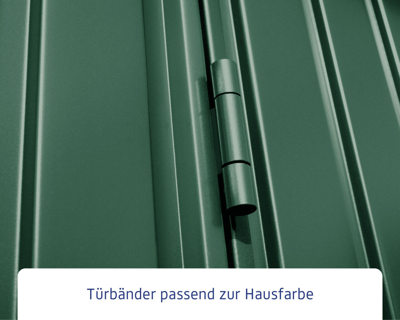 EcoStar Gerätehaus Trend-P Typ 1 moosgrün 247,9 x 153 x 228,6 cm