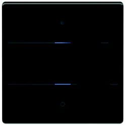 Theben Glas-Tastsensor iON 102 KNX G BK
