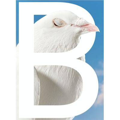 B-Sides, Paperback von Philotheus Nisch, Verlag für moderne Kunst, 978-3-903572-01-0