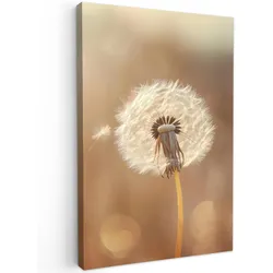 LEINWANDBILD Löwenzahn - Beige - Natur - Blume Wanddeko 40x60 cm