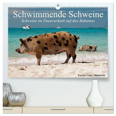 Schwimmende Schweine (hochwertiger Premium Wandkalender 2027 DIN A2 quer), Kunstdruck in Hochglanz