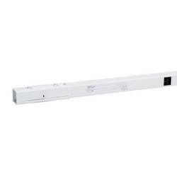 Schneider Electric KBB25ED42300W KBB gerades Element, 25A, 3m, 2 Netze, 3L+N+L+N+PE, Transport Schienenkasten 1 St.