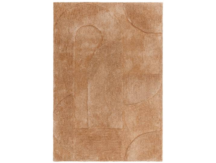 Tapis de salon moderne marron 200x290 cm