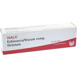 ECHINACEA/VISCUM comp.Gelatum 30 g