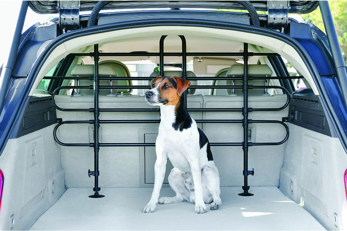 PET AROUND YOU Safety Car Divisorio Auto Universale 1 PZ