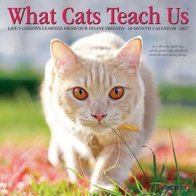 What Cats Teach Us 2027 7 X 7 Mini Wall Calendar