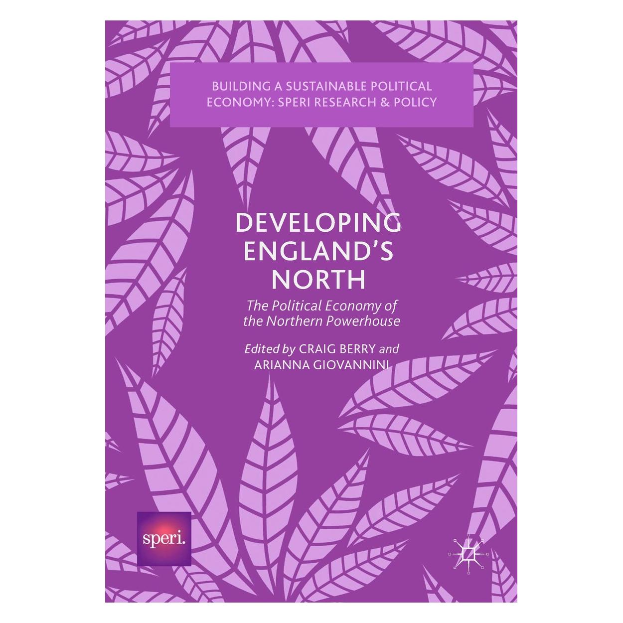Springer The Political Economy of the Northern Powerhouse (Englisch, Hardcover, Arianna Giovannini, Craig Berry) (9783319625591)