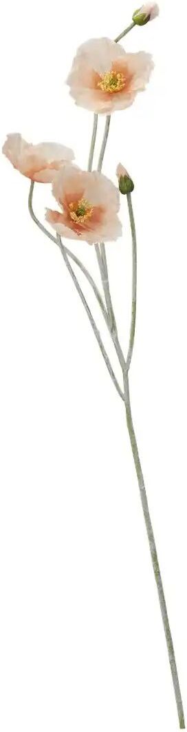 Höffner Klatschmohn   ¦ orange ¦ Kunststoff,Polyester ¦ Maße (cm): H: 107