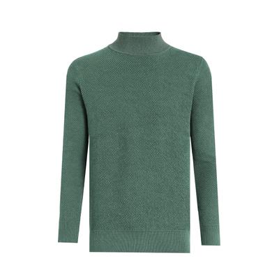 Rollkragenpullover FELIX HARDY "Rollkragenpullover", Herren, Gr. XXL, grün, 100% Baumwolle, hoch geschlossener Ausschnitt, Pullover Rollkragenpullover