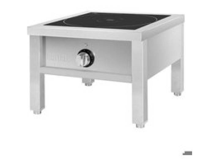 Grande plaque induction électrique câblage inclus 8000 W 400 V - TRI