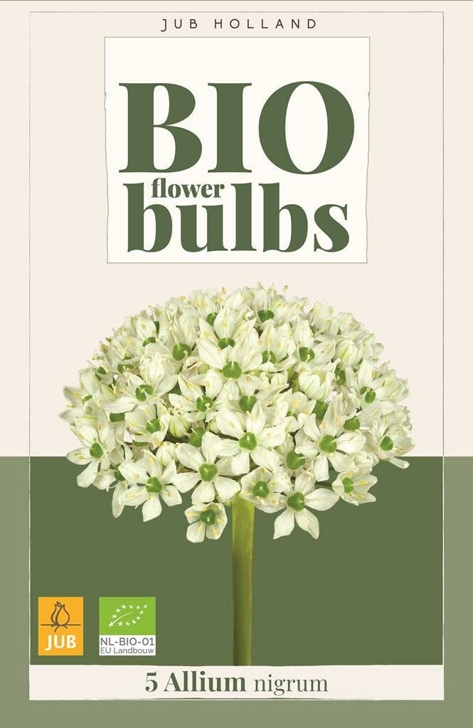 JUB Bio Allium Nigrum 5 bollen