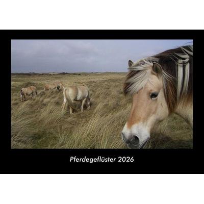 Pferdegeflüster 2026 Fotokalender DIN A3