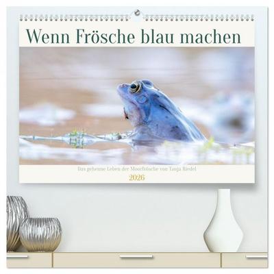 Wenn Frösche blau machen - das geheime Leben der Moorfrösche von Tanja Riedel (hochwertiger Premium Wandkalender 2026 DIN A2 quer), Kunstdruck in