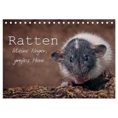 Ratten. Kleine Nager, großes Herz. (Tischkalender 2027 DIN A5 quer), CALVENDO Monatskalender