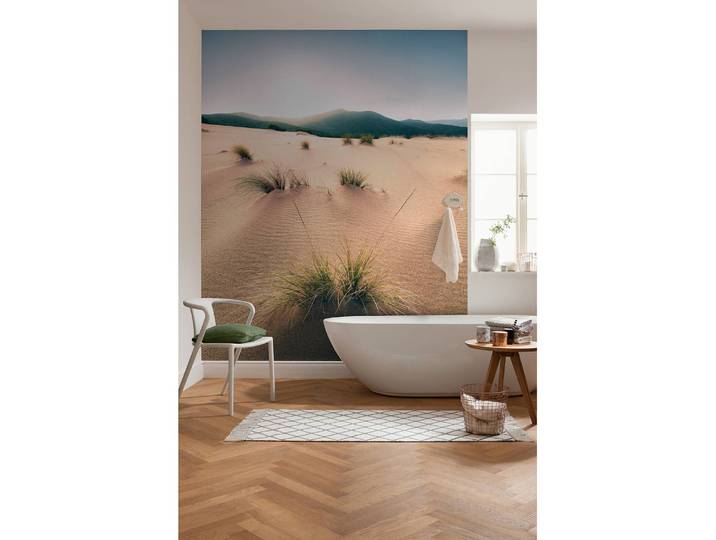 Papier peint intissé Vivid Dunes 450cm