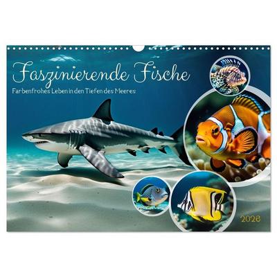 Faszinierende Fische (Wandkalender 2026 DIN A3 quer), CALVENDO Monatskalender