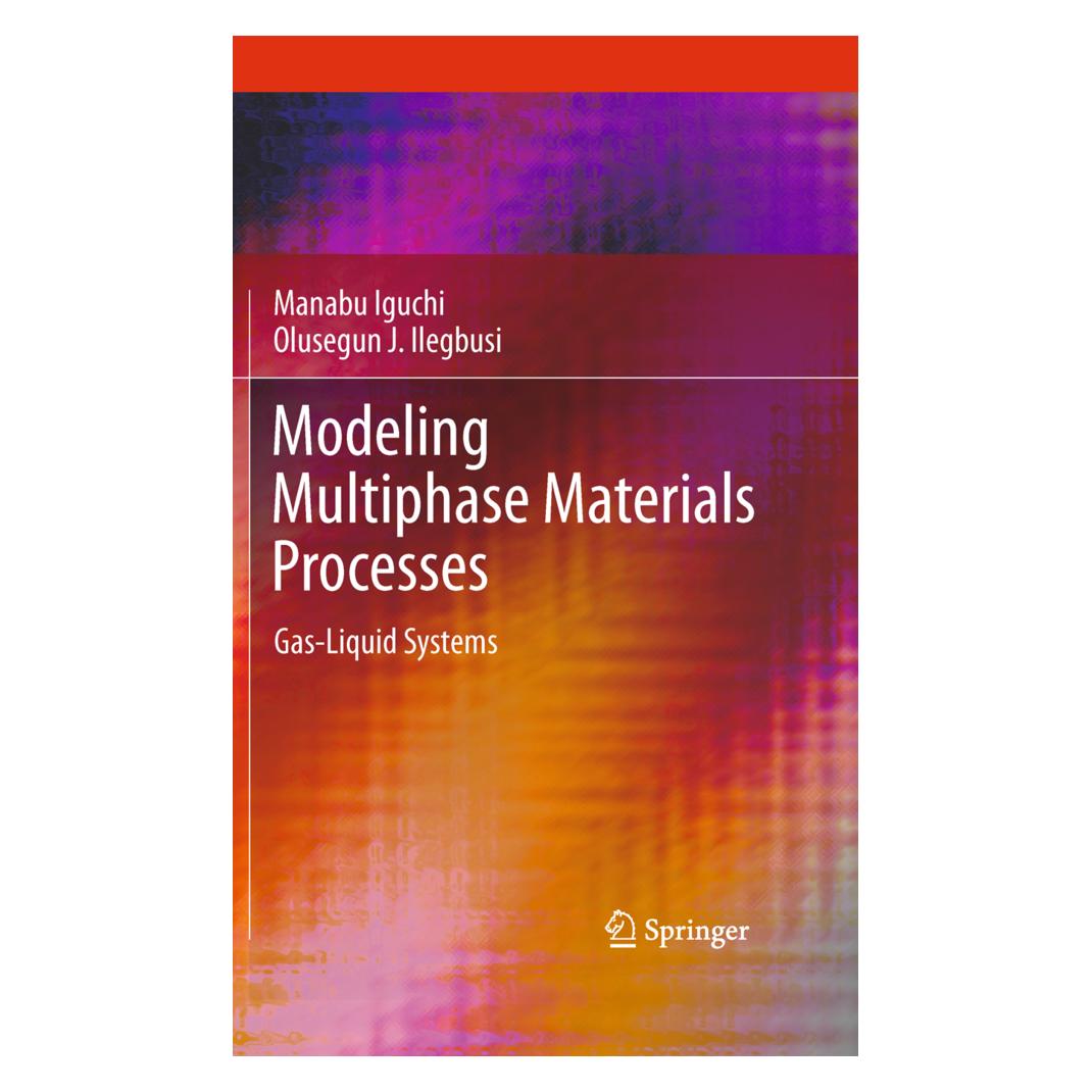 Springer Modeling Multiphase Materials Processes (Englisch, Softcover, Manabu Iguchi, Olusegun J Ilegbusi) (55580064)
