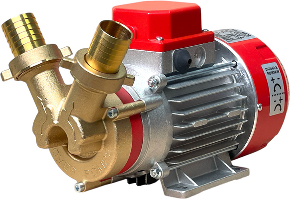 Rover Pompe Rover Marina 30  Elektrische Umfüllpumpe aus Bronze  12 V