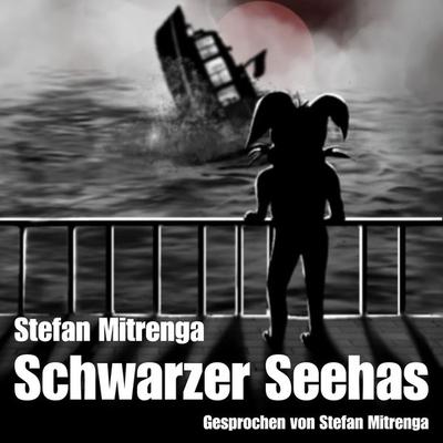 Schwarzer Seehas - Stefan Mitrenga, Audio, 9783758497100