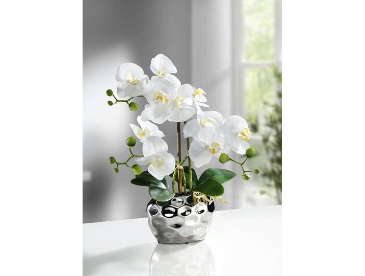 Orchidee im Topf, Silber
