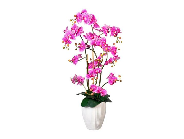 Kunstblume Orchidee