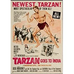 POSTER Filmtarzan Indien A3 Rahmenlos