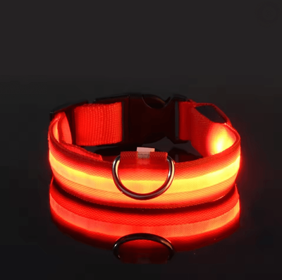 Inspire Essentials GlowGuard LED Dog Leash And Collar Set xl red