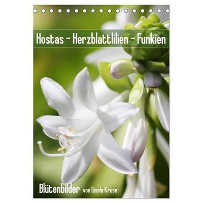 Hostas Herzblattlilien Funkien (Tischkalender 2027 DIN A5 hoch), CALVENDO Monatskalender